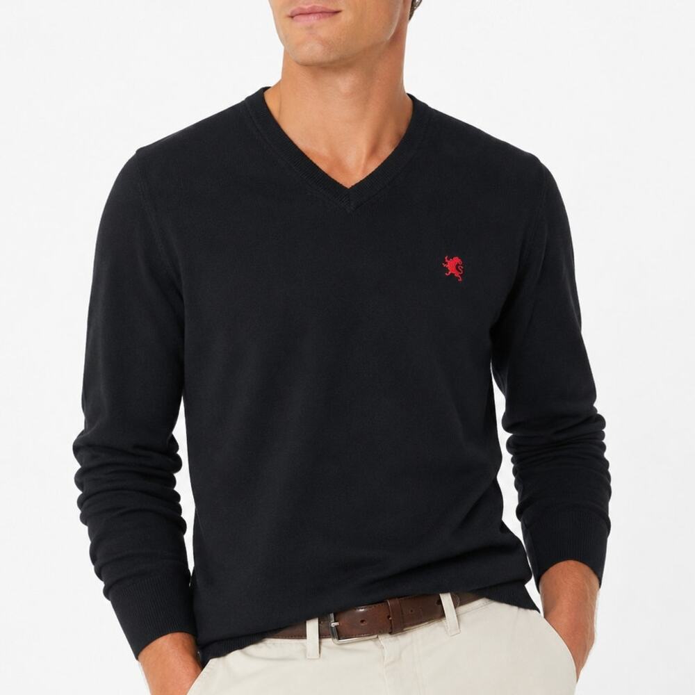 2/$30 Express V-Neck Logo Cotton Sweater Black Size XL